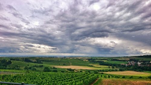 Scenic view of field against cloudy sky