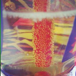 Close-up of red object on table