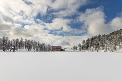 Trees on snow covered land against sky