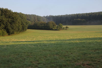 Scenic view of field against clear sky