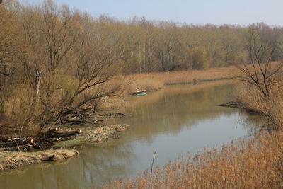 Scenic view of lake in forest against sky