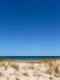 Scenic view of sea against clear blue sky