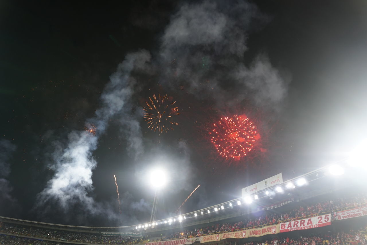 FIREWORK DISPLAY IN SKY AT NIGHT