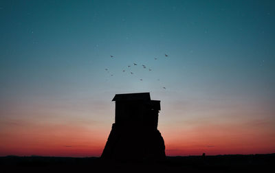 Silhouette of birds flying against sunset sky