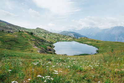 environment