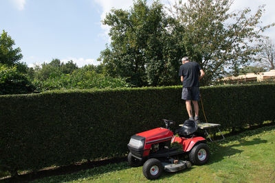 A gardener or worker uses stands to cut petrol hedge trimmers