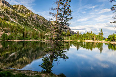 Scenic view of lake by trees against sky