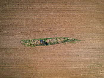 High angle view of people on field