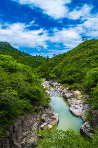 Scenic view of river amidst trees against sky