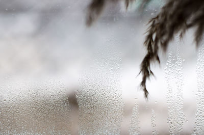 Abstract background of drops on the window. condensation drops on the window