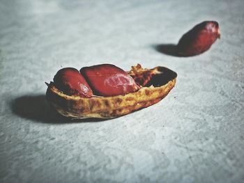Close-up high angle view of crab