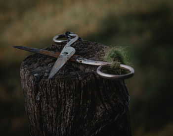 Close-up of rusty metal
