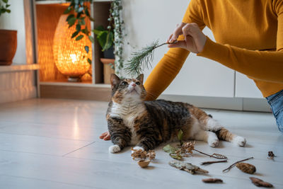 Midsection of man holding cat