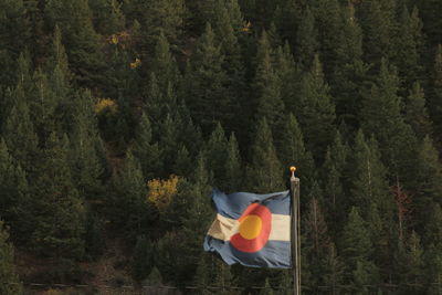 Flag on trees in forest