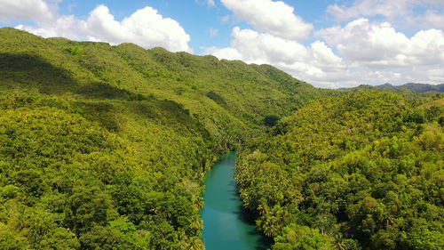 Scenic view of river amidst trees against sky