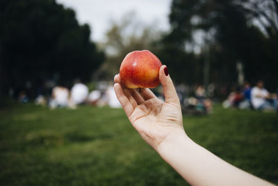 Cropped image of hand holding apple against blurred background