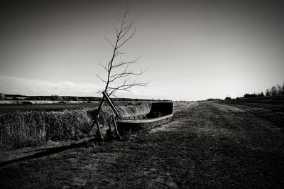 Bare tree on field against clear sky