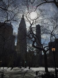 Low angle view of bare trees against sky