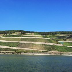 Scenic view of landscape against clear blue sky