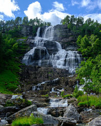 Scenic view of waterfall in forest