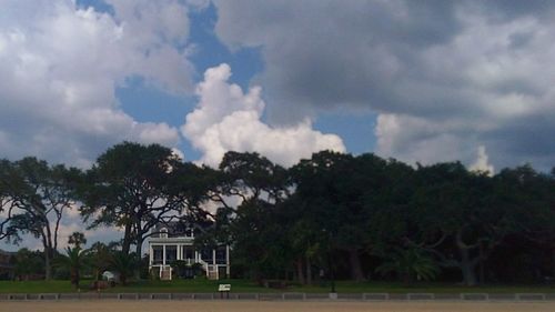 Trees against sky