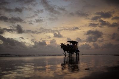View of horse on beach against sky