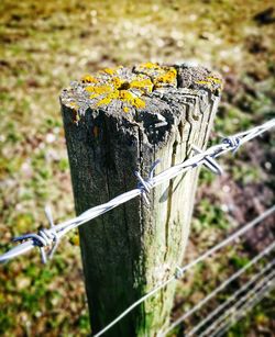 Close-up of barbed wire on wooden post