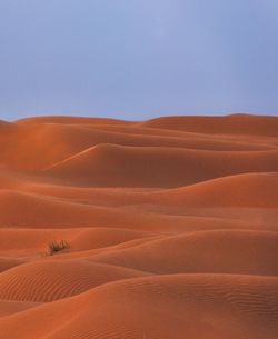 This is the blue hour moment in the great sahara in north africa 