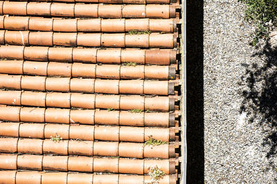 High angle view of plants in row
