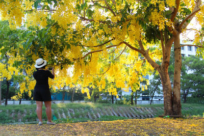 Rear view of person standing in park during autumn