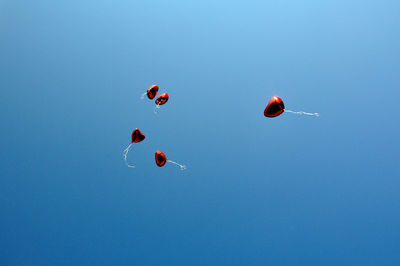 Balloons rise in the sky