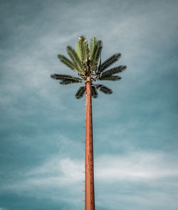 Low angle view of coconut palm tree against sky