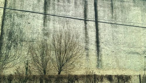 Full frame shot of window