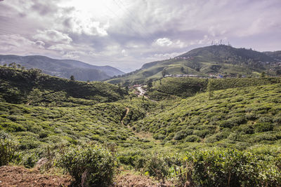 Scenic view of landscape against sky