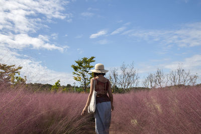 View of woman pink muhly grass field on a sunny day