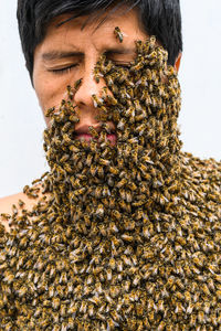 A beekeeper covered in bees, bee treatment