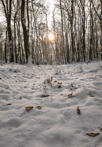 Scenic view of snow covered land during sunset