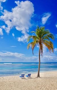 Palm trees on beach against blue sky