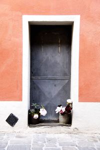 Potted plants on doorway of building