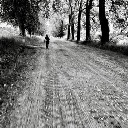 Rear view of man walking on road amidst trees