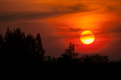 Silhouette trees against orange sky during sunset