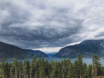 Scenic view of trees and mountains against sky