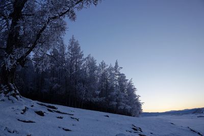 Snow covered landscape