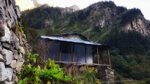 Abandoned house amidst trees in forest