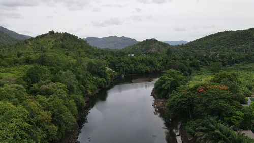 Scenic view of river amidst trees against sky