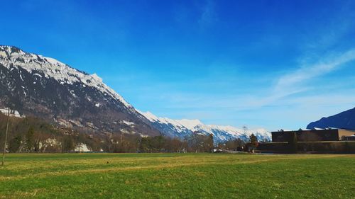 Scenic view of field against blue sky