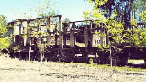 Building with trees in background