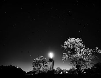 Low angle view of trees at night