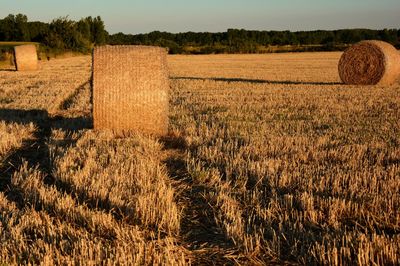 Straw bales