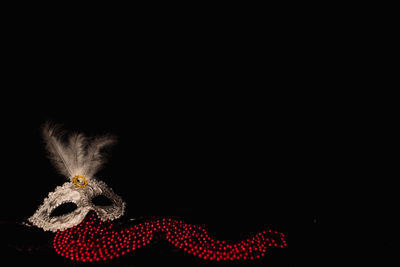 Close-up of stuffed toy over black background
